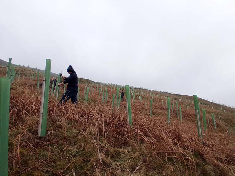 The SJOG Green Team spent their day volunteering at Heggs Farm in Arkengarthdale where a native woodland has been planted in a partnership with the landowner, the Woodland Trust and some local volunteers.