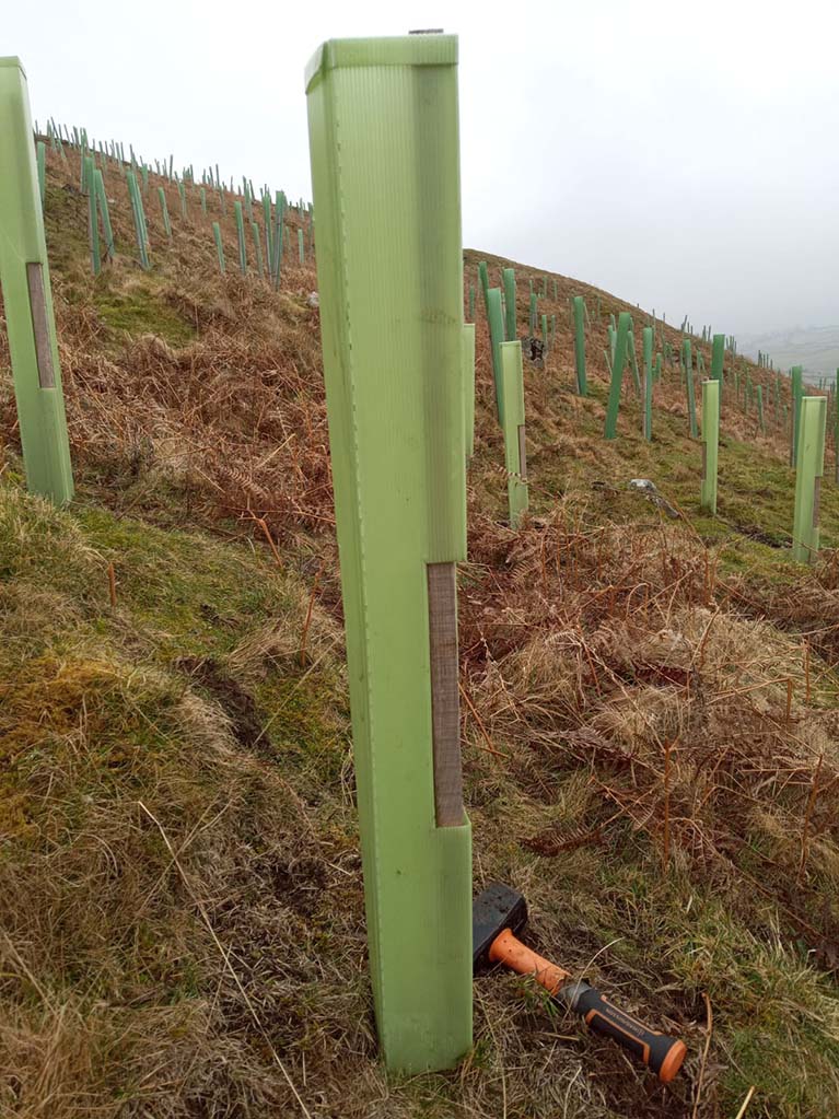 The SJOG Green Team spent their day volunteering at Heggs Farm in Arkengarthdale where a native woodland has been planted in a partnership with the landowner, the Woodland Trust and some local volunteers.