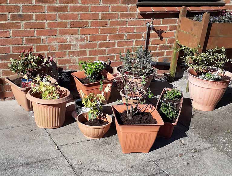 Dalby view doing a spot of gardening!